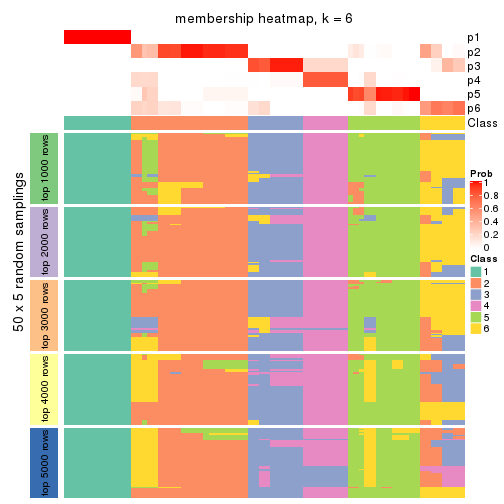 plot of chunk tab-MAD-skmeans-membership-heatmap-5