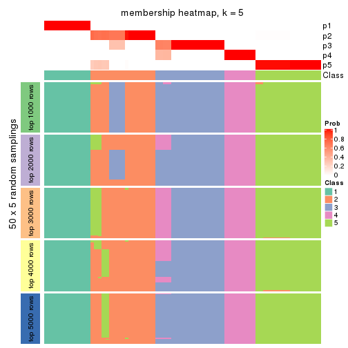 plot of chunk tab-SD-mclust-membership-heatmap-4
