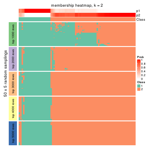 plot of chunk tab-CV-pam-membership-heatmap-1