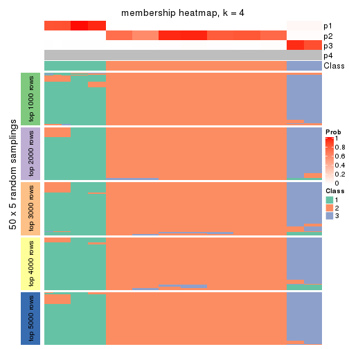 plot of chunk tab-CV-kmeans-membership-heatmap-3