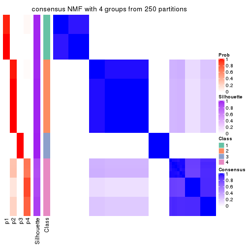 plot of chunk tab-SD-NMF-consensus-heatmap-3