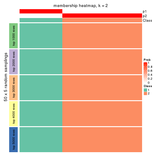 plot of chunk tab-SD-NMF-membership-heatmap-1