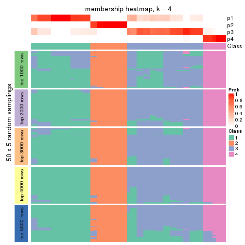plot of chunk tab-CV-NMF-membership-heatmap-3