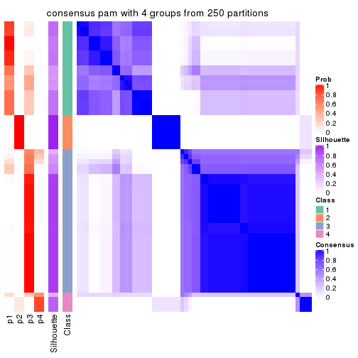 plot of chunk tab-MAD-pam-consensus-heatmap-3