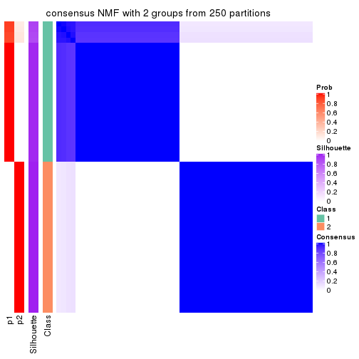 plot of chunk tab-ATC-NMF-consensus-heatmap-1