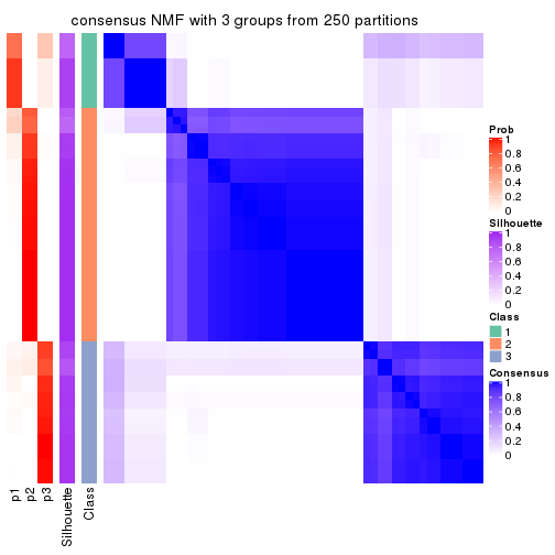 plot of chunk tab-ATC-NMF-consensus-heatmap-2