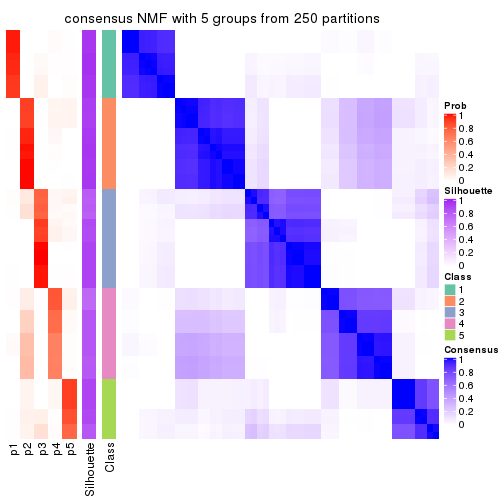 plot of chunk tab-ATC-NMF-consensus-heatmap-4