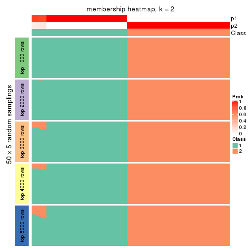 plot of chunk tab-ATC-NMF-membership-heatmap-1