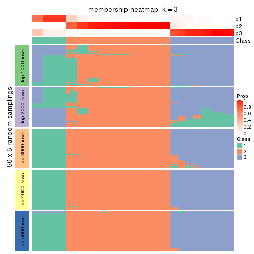 plot of chunk tab-ATC-NMF-membership-heatmap-2