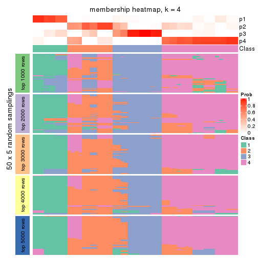 plot of chunk tab-ATC-NMF-membership-heatmap-3