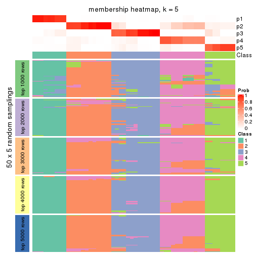 plot of chunk tab-ATC-NMF-membership-heatmap-4