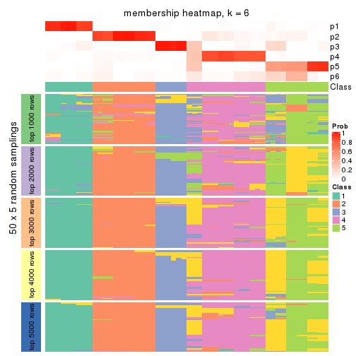 plot of chunk tab-ATC-NMF-membership-heatmap-5