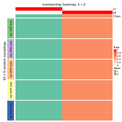 plot of chunk tab-ATC-hclust-membership-heatmap-1