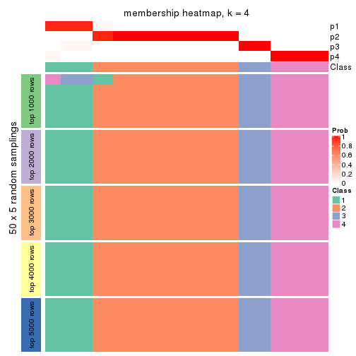 plot of chunk tab-ATC-hclust-membership-heatmap-3