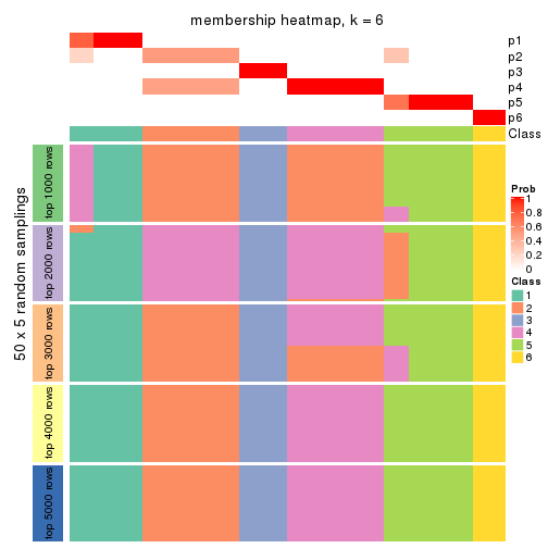 plot of chunk tab-ATC-hclust-membership-heatmap-5