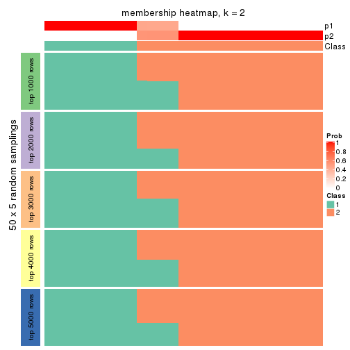 plot of chunk tab-ATC-kmeans-membership-heatmap-1