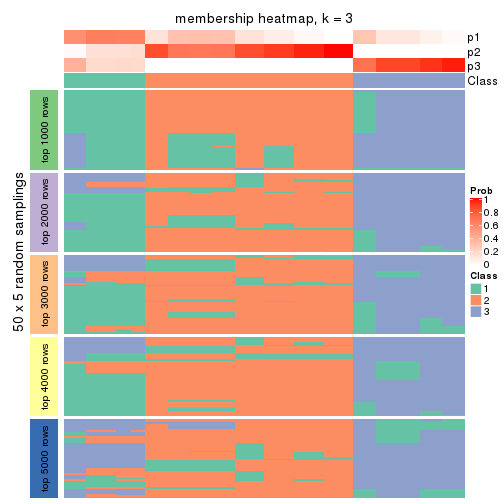 plot of chunk tab-ATC-kmeans-membership-heatmap-2