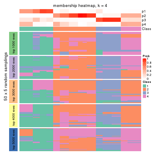 plot of chunk tab-ATC-kmeans-membership-heatmap-3