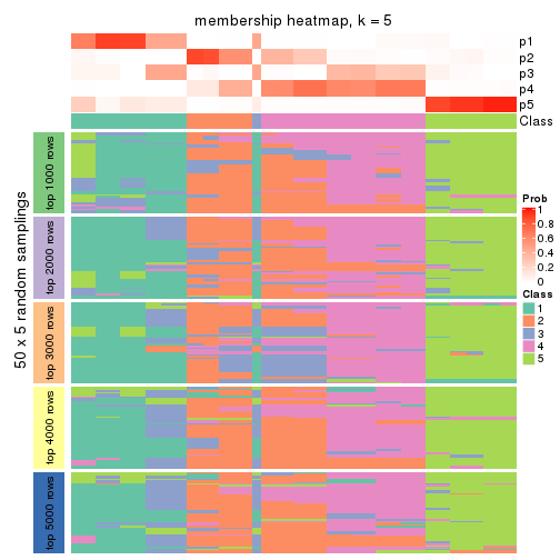 plot of chunk tab-ATC-kmeans-membership-heatmap-4