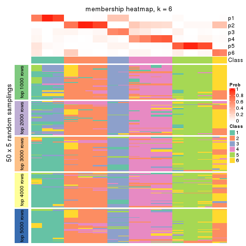 plot of chunk tab-ATC-kmeans-membership-heatmap-5