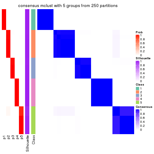 plot of chunk tab-ATC-mclust-consensus-heatmap-4