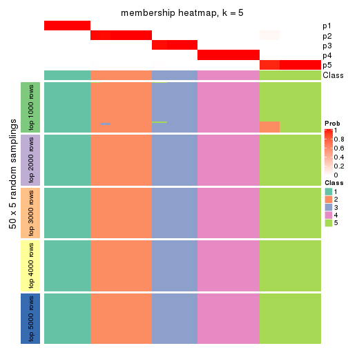 plot of chunk tab-ATC-mclust-membership-heatmap-4