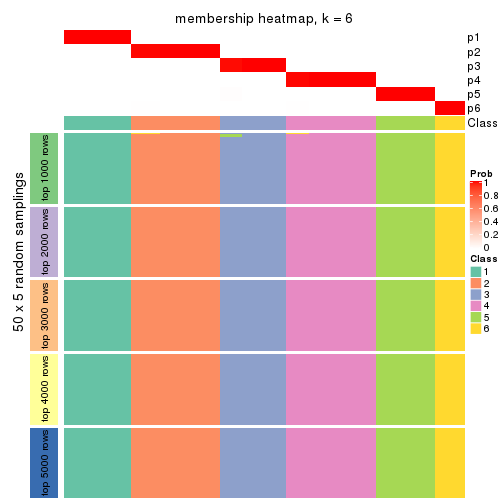 plot of chunk tab-ATC-mclust-membership-heatmap-5