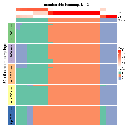 plot of chunk tab-ATC-pam-membership-heatmap-2