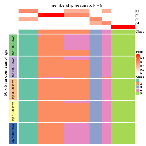 plot of chunk tab-ATC-pam-membership-heatmap-4