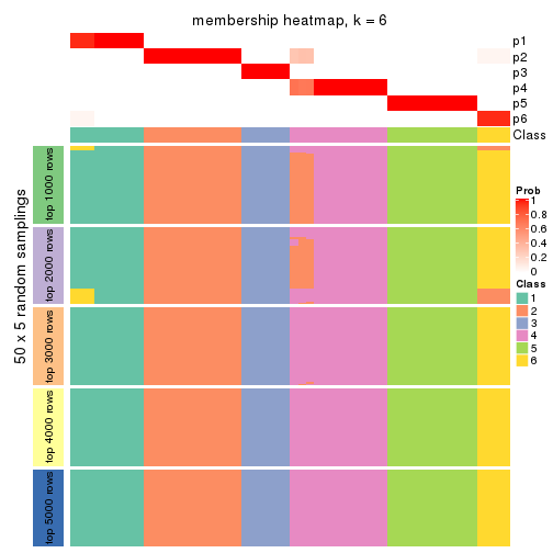 plot of chunk tab-ATC-pam-membership-heatmap-5