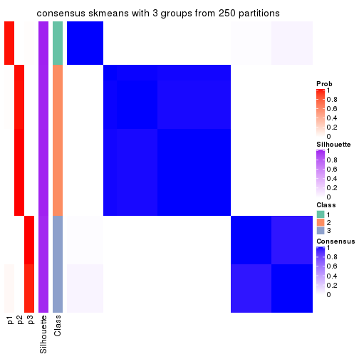 plot of chunk tab-ATC-skmeans-consensus-heatmap-2