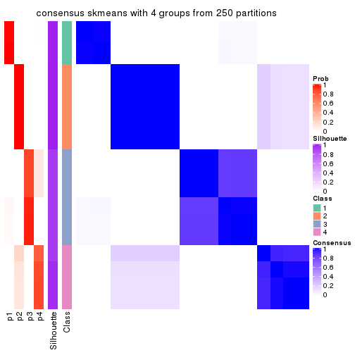 plot of chunk tab-ATC-skmeans-consensus-heatmap-3