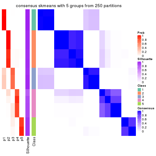 plot of chunk tab-ATC-skmeans-consensus-heatmap-4