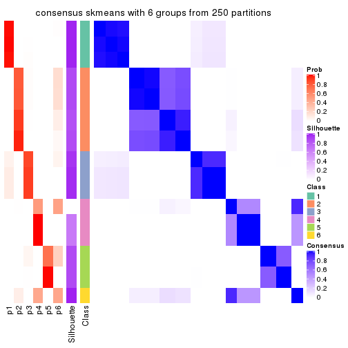 plot of chunk tab-ATC-skmeans-consensus-heatmap-5