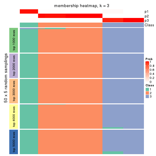 plot of chunk tab-ATC-skmeans-membership-heatmap-2