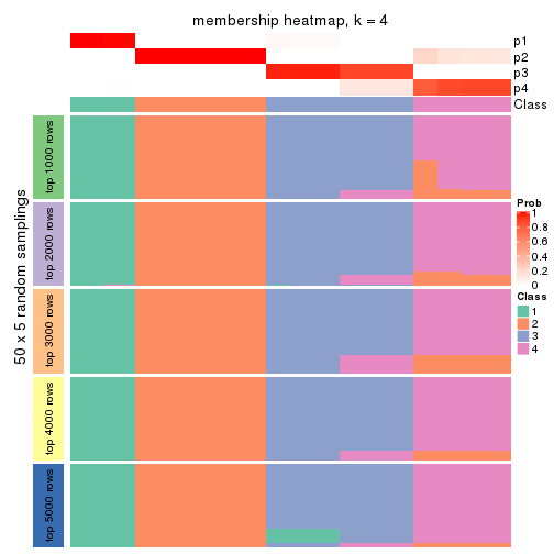 plot of chunk tab-ATC-skmeans-membership-heatmap-3