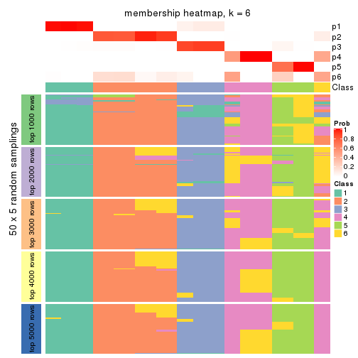 plot of chunk tab-ATC-skmeans-membership-heatmap-5