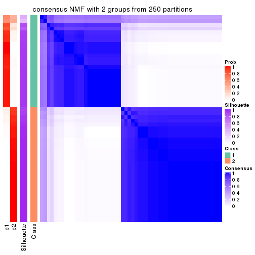 plot of chunk tab-CV-NMF-consensus-heatmap-1