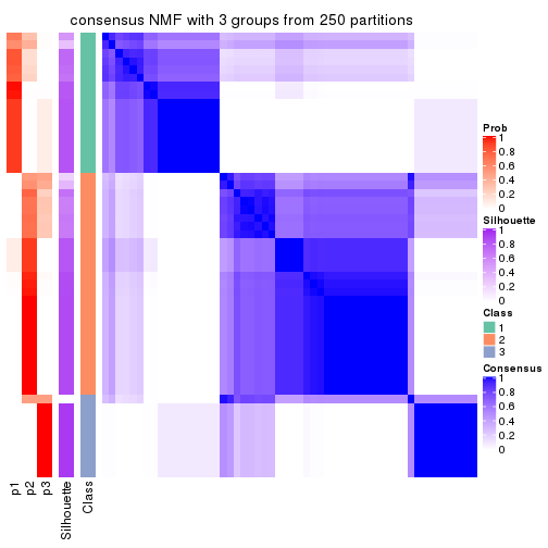 plot of chunk tab-CV-NMF-consensus-heatmap-2