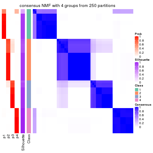 plot of chunk tab-CV-NMF-consensus-heatmap-3