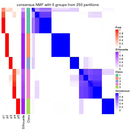 plot of chunk tab-CV-NMF-consensus-heatmap-4