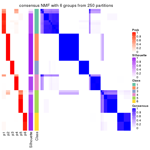 plot of chunk tab-CV-NMF-consensus-heatmap-5