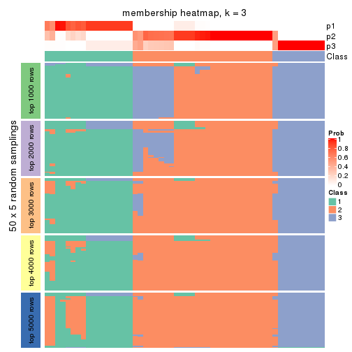 plot of chunk tab-CV-NMF-membership-heatmap-2