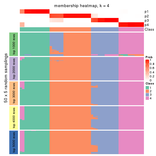 plot of chunk tab-CV-NMF-membership-heatmap-3