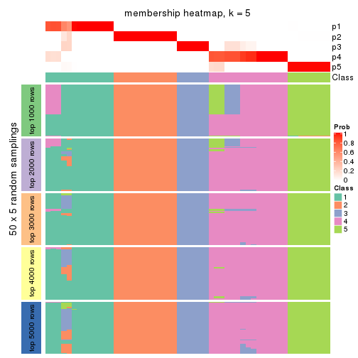 plot of chunk tab-CV-NMF-membership-heatmap-4