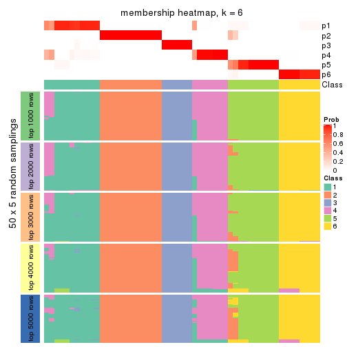 plot of chunk tab-CV-NMF-membership-heatmap-5