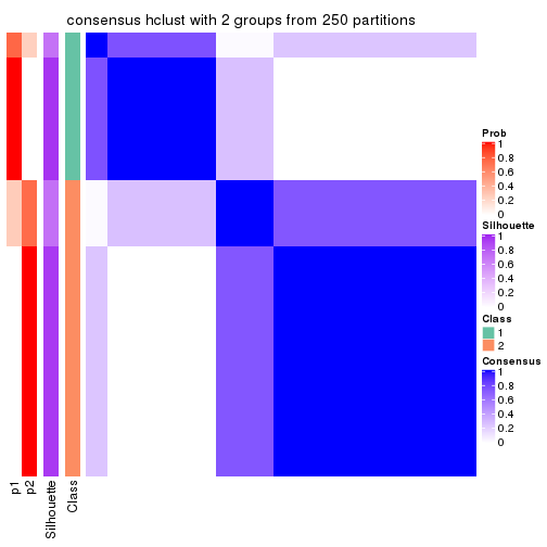 plot of chunk tab-CV-hclust-consensus-heatmap-1