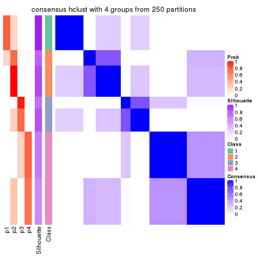 plot of chunk tab-CV-hclust-consensus-heatmap-3