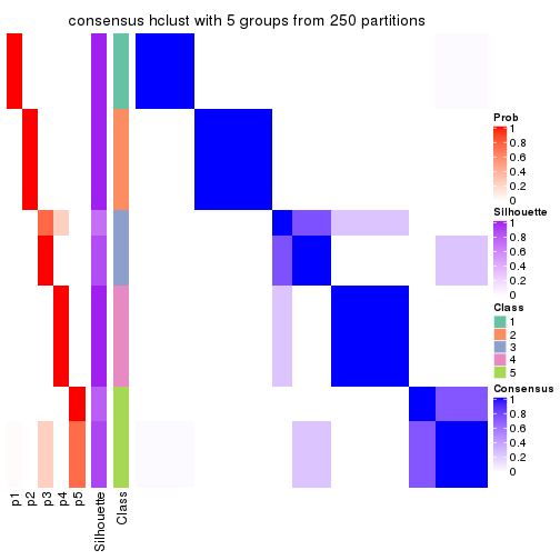 plot of chunk tab-CV-hclust-consensus-heatmap-4