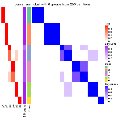 plot of chunk tab-CV-hclust-consensus-heatmap-5